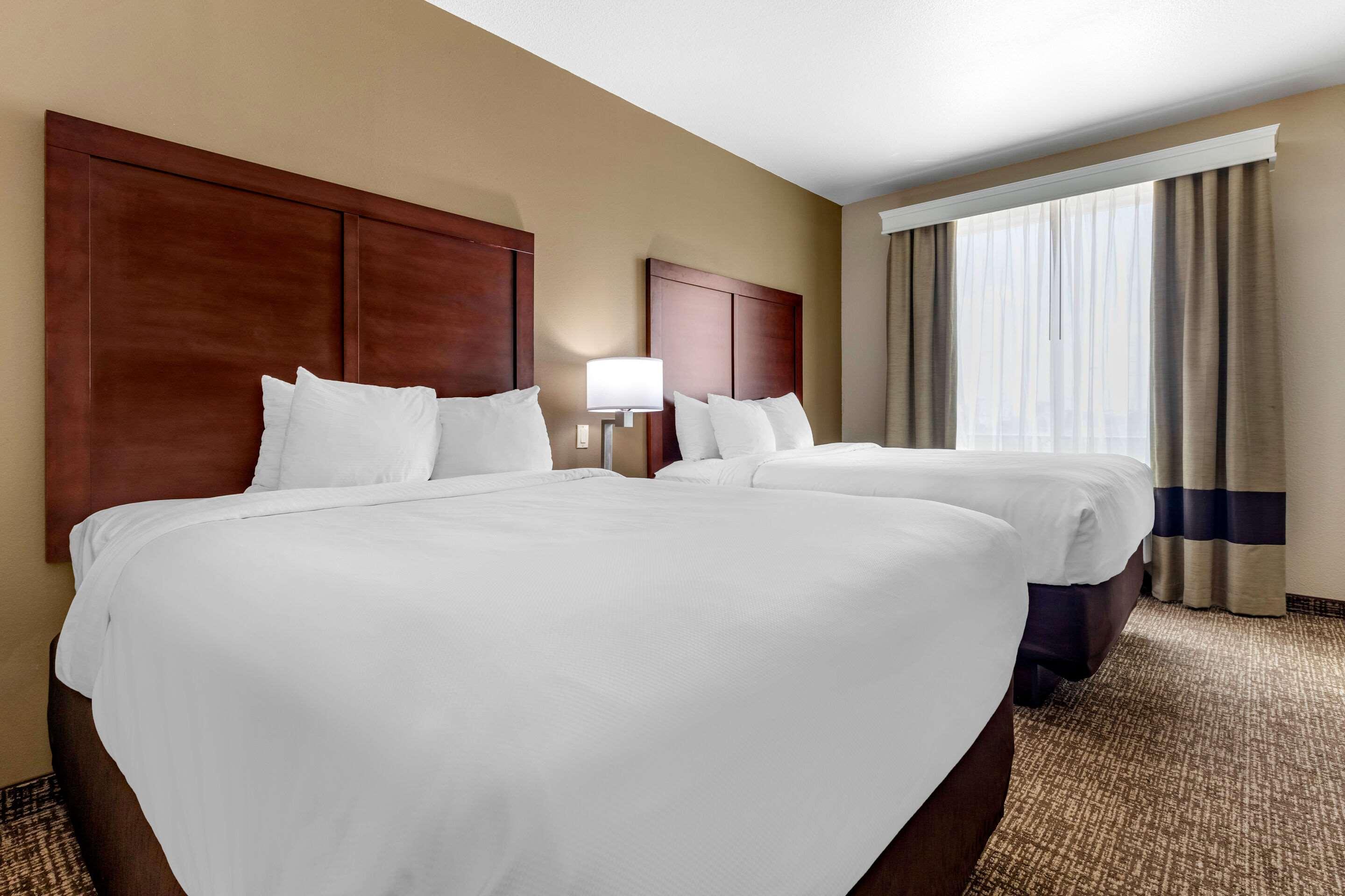Comfort Inn & Suites Near Lake Lewisville Corinth Zewnętrze zdjęcie